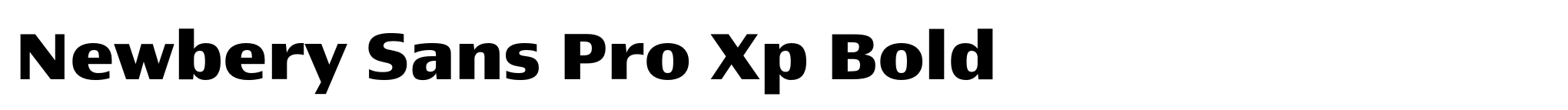 Newbery Sans Pro Xp Bold image